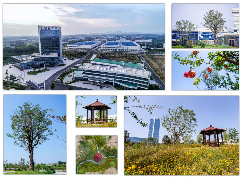 尊龙抖圈 - 为du而生