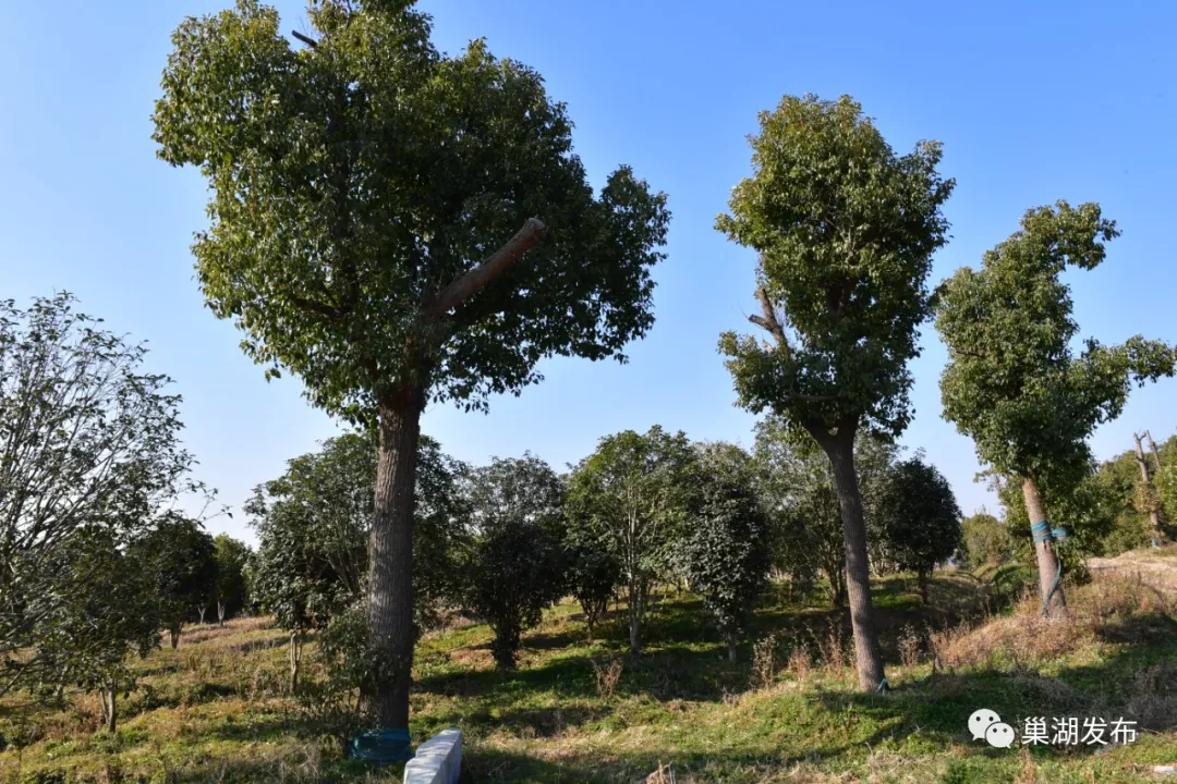 尊龙抖圈 - 为du而生