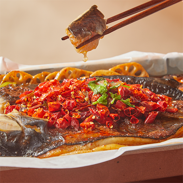 尊龙抖圈 - 为du而生