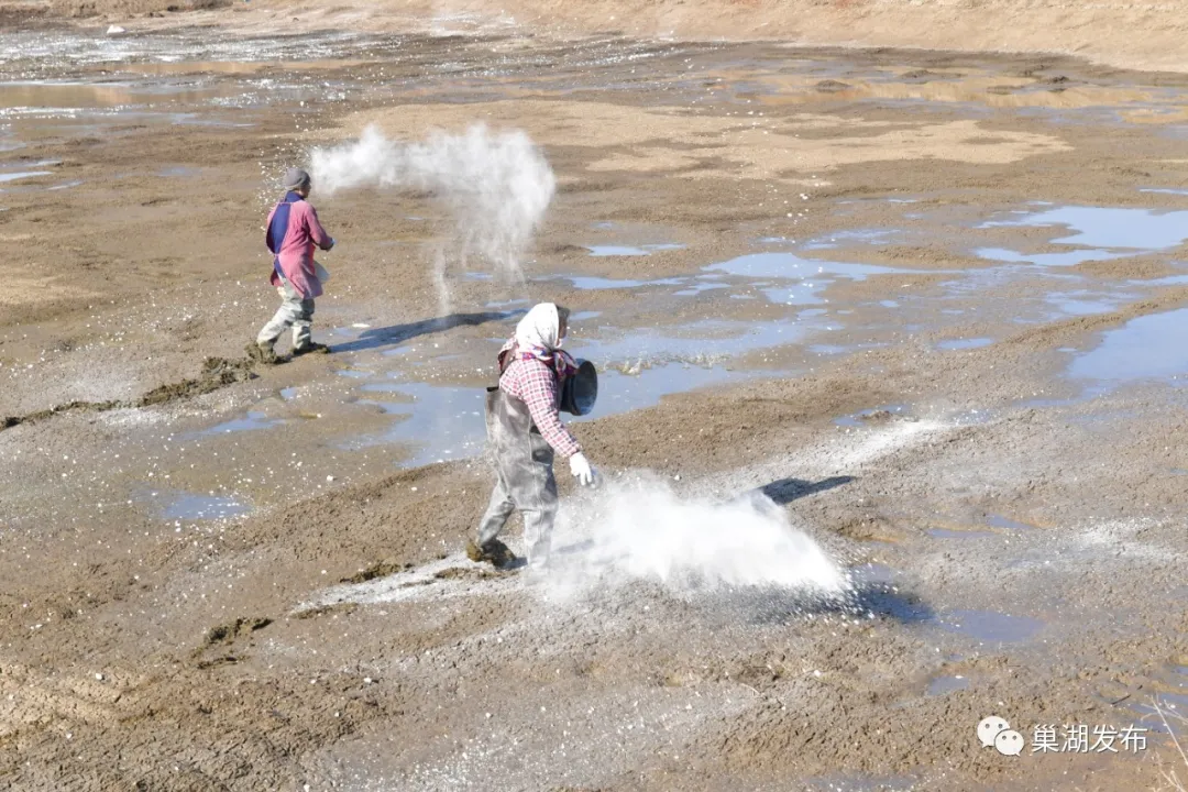 尊龙抖圈 - 为du而生