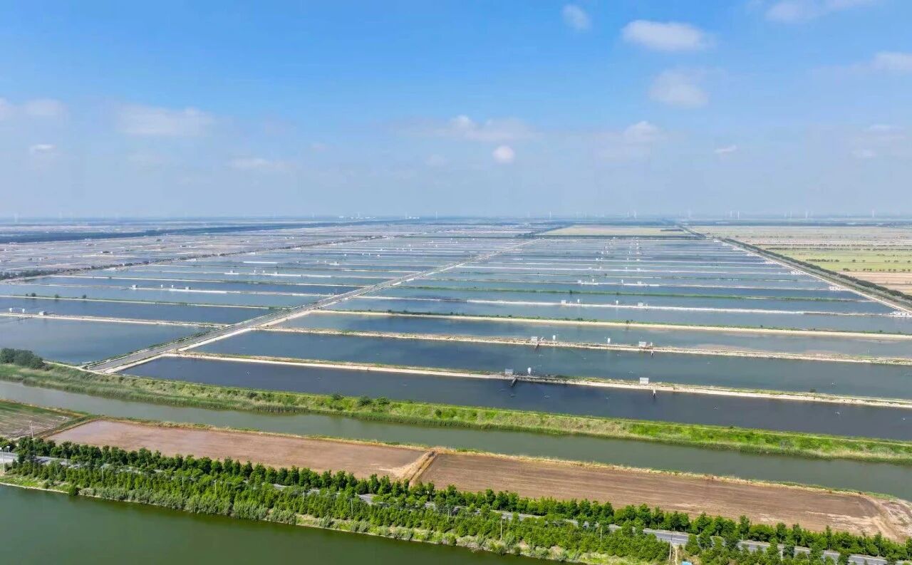 尊龙抖圈 - 为du而生