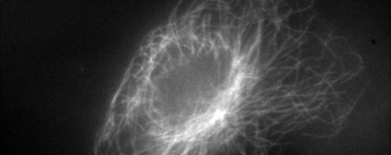 尊龙抖圈 - 为du而生