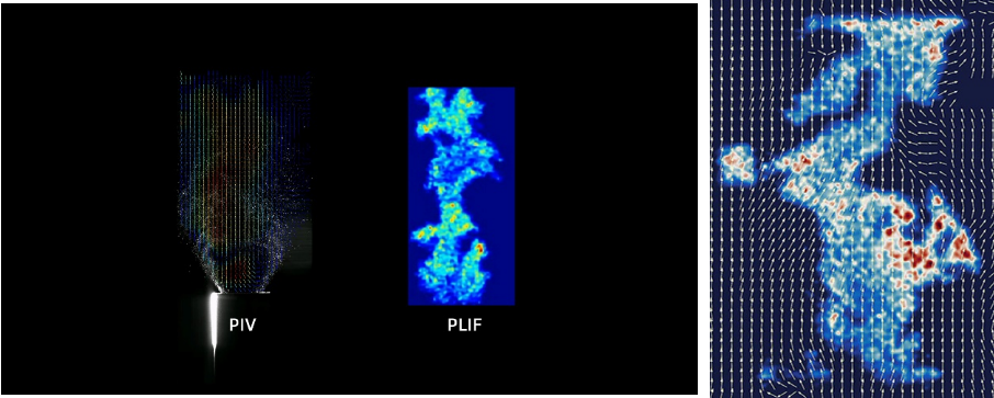 尊龙抖圈 - 为du而生