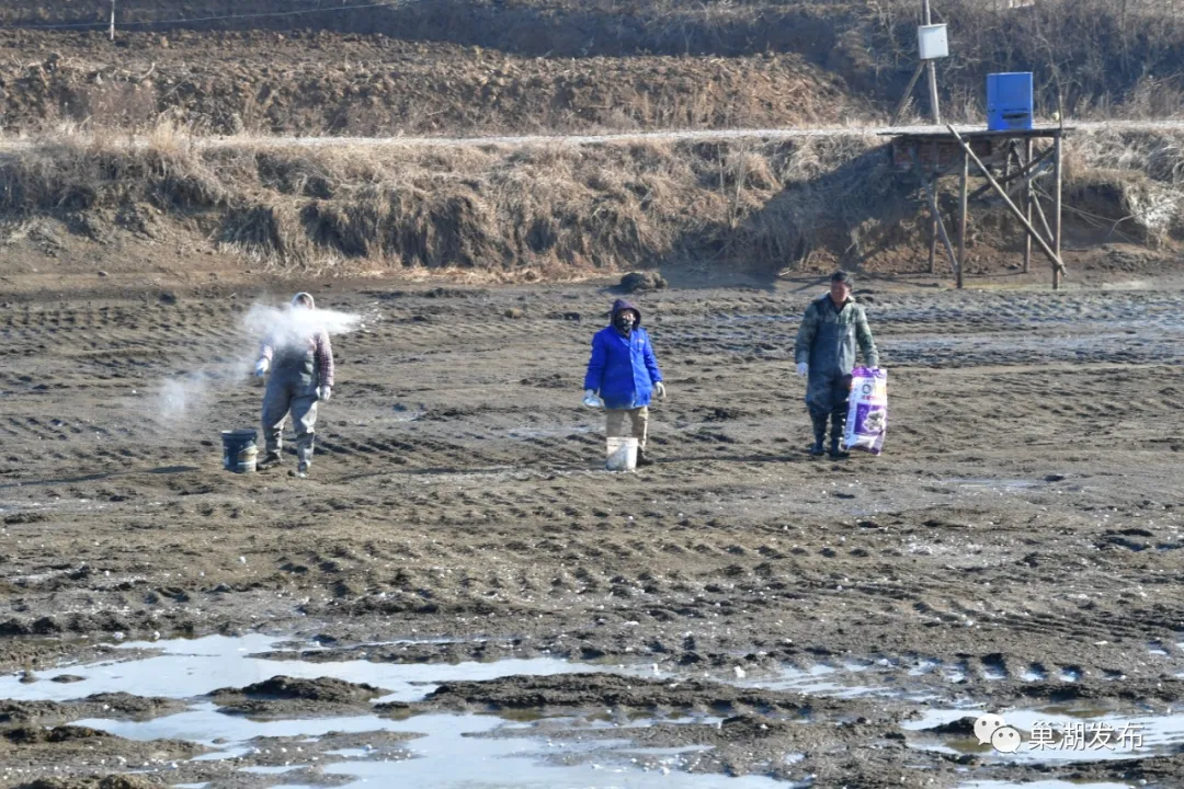 尊龙抖圈 - 为du而生