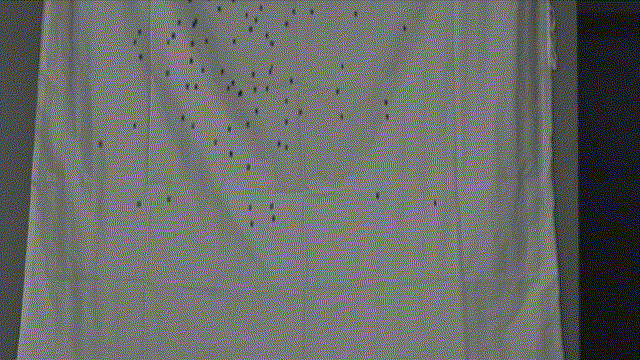 尊龙抖圈 - 为du而生