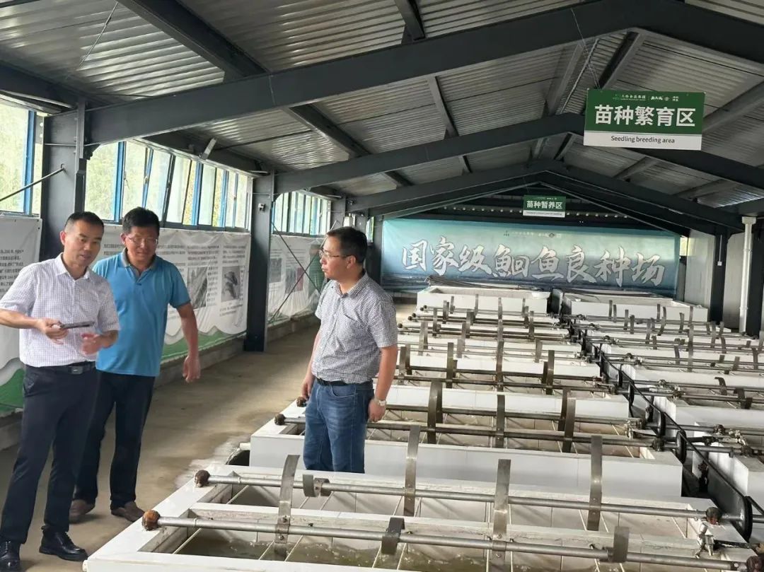 尊龙抖圈 - 为du而生