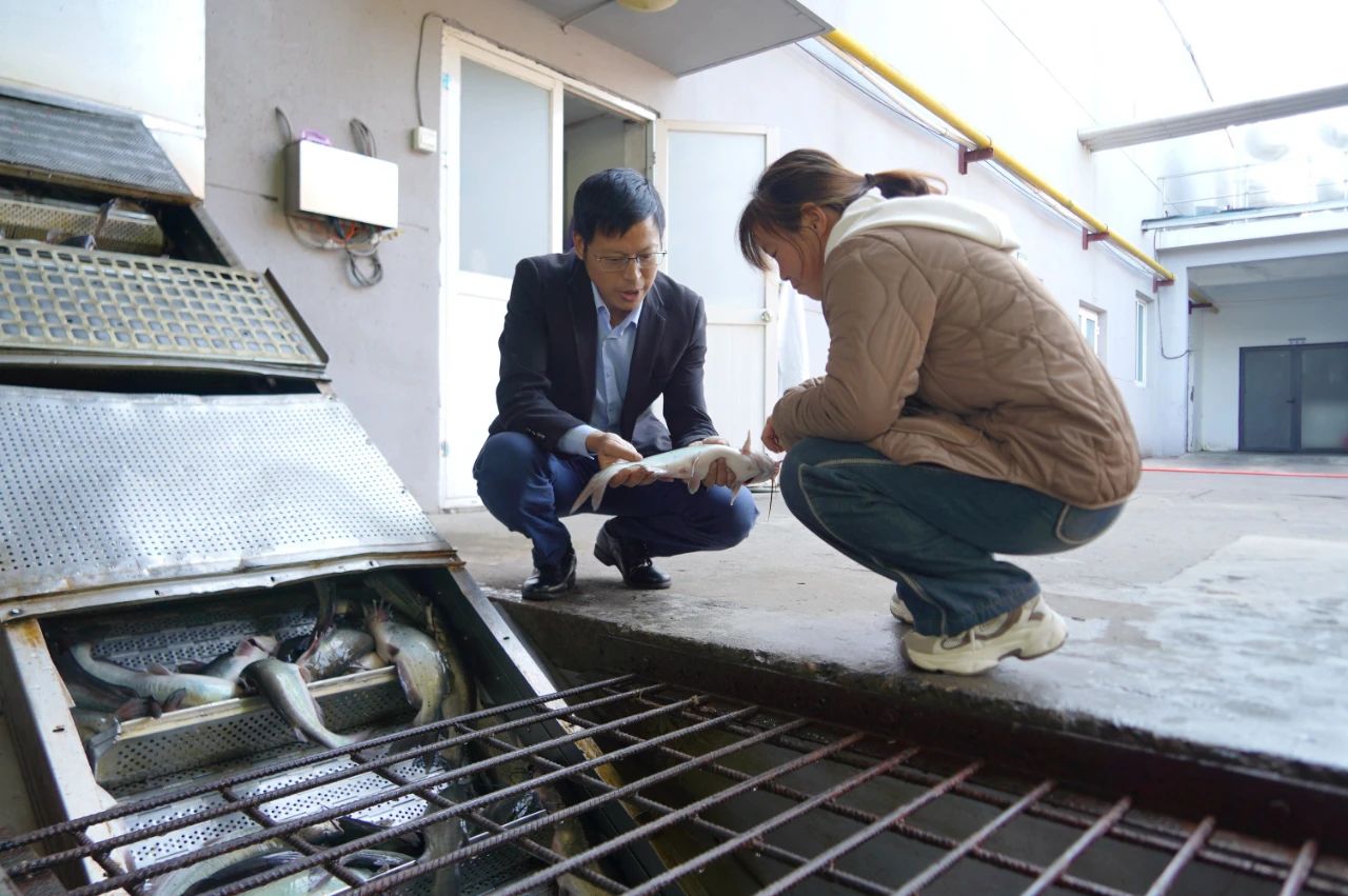 尊龙抖圈 - 为du而生