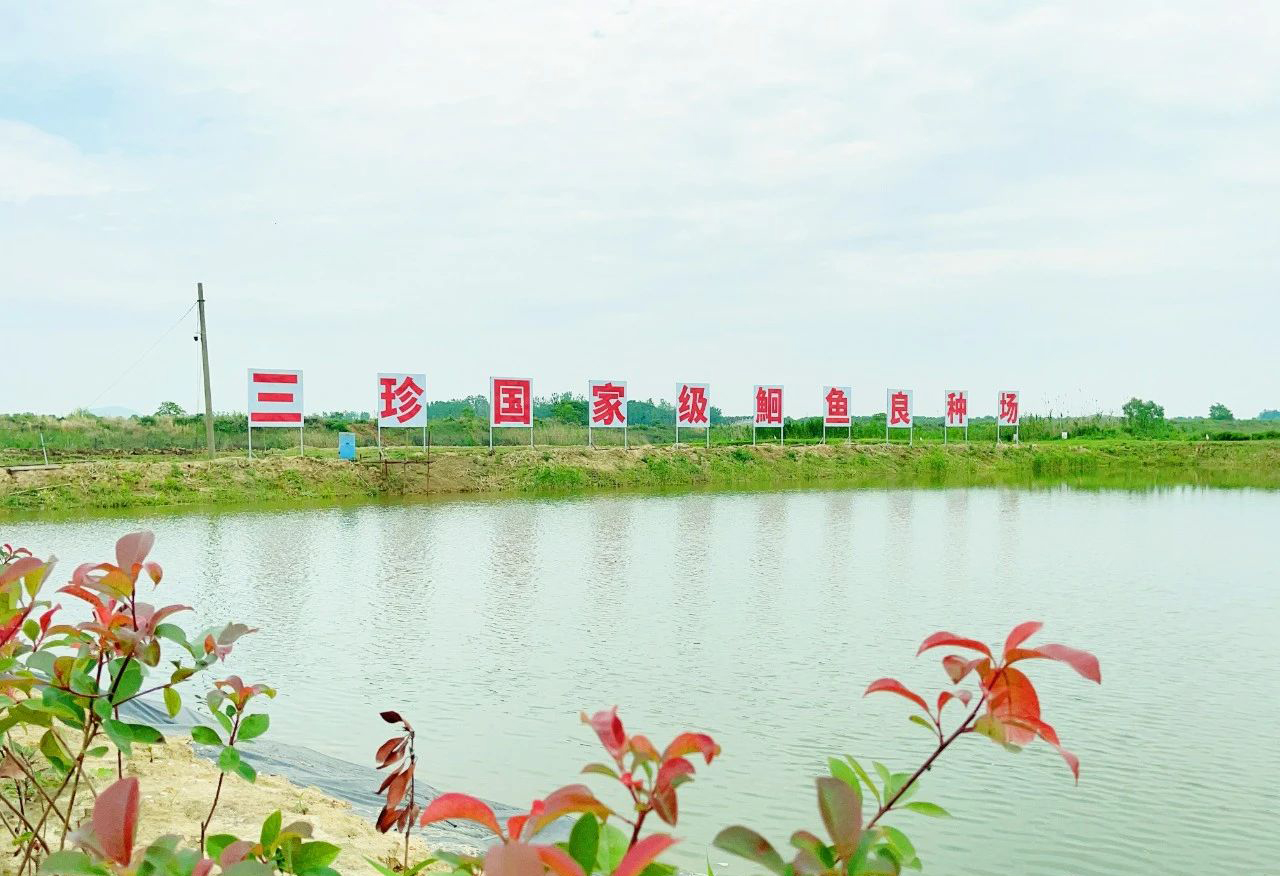 尊龙抖圈 - 为du而生