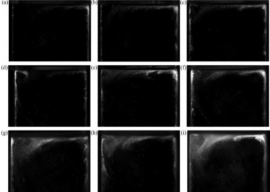 尊龙抖圈 - 为du而生