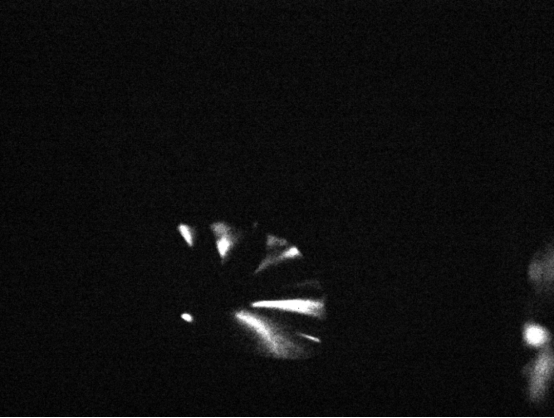 尊龙抖圈 - 为du而生