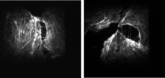 尊龙抖圈 - 为du而生