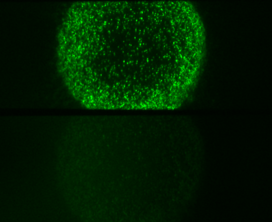 尊龙抖圈 - 为du而生